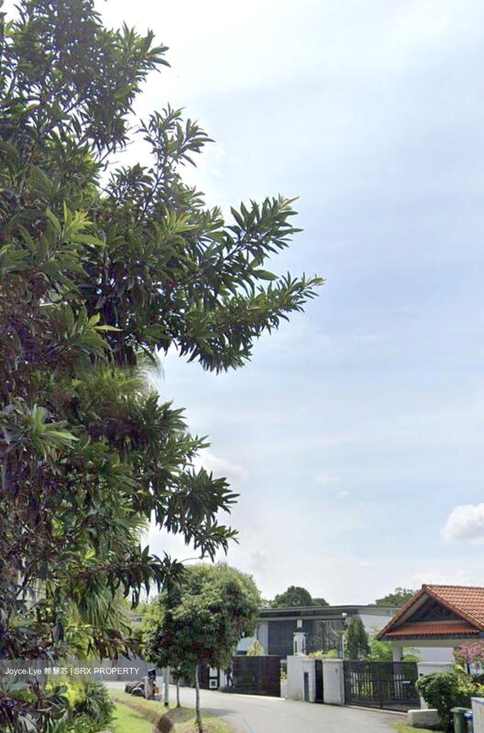 Belmont Road (D10), Detached #476742481